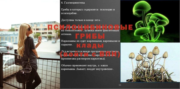 кокс Няндома