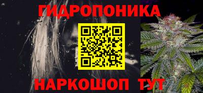 амф Гусь-Хрустальный