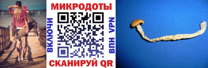 Галлюциногенные грибы прущие грибы  купить  сайты  Ипатово 