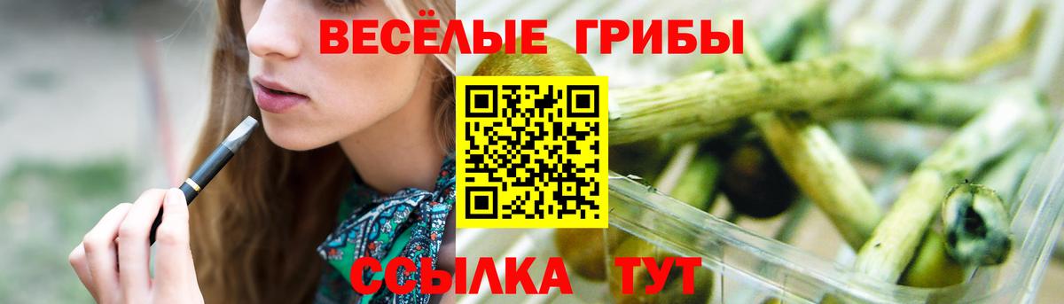 купить  цена  Галлюциногенные грибы GOLDEN TEACHER  Вход с VPN  Ипатово  Галлюциногенные грибы Cubensis 